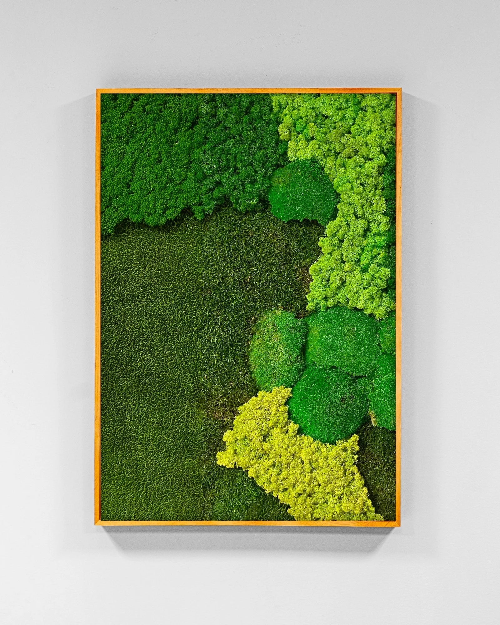 Mosstavla Hem – Stilar, Placering och Smarta Tips för ett Naturligt Hem