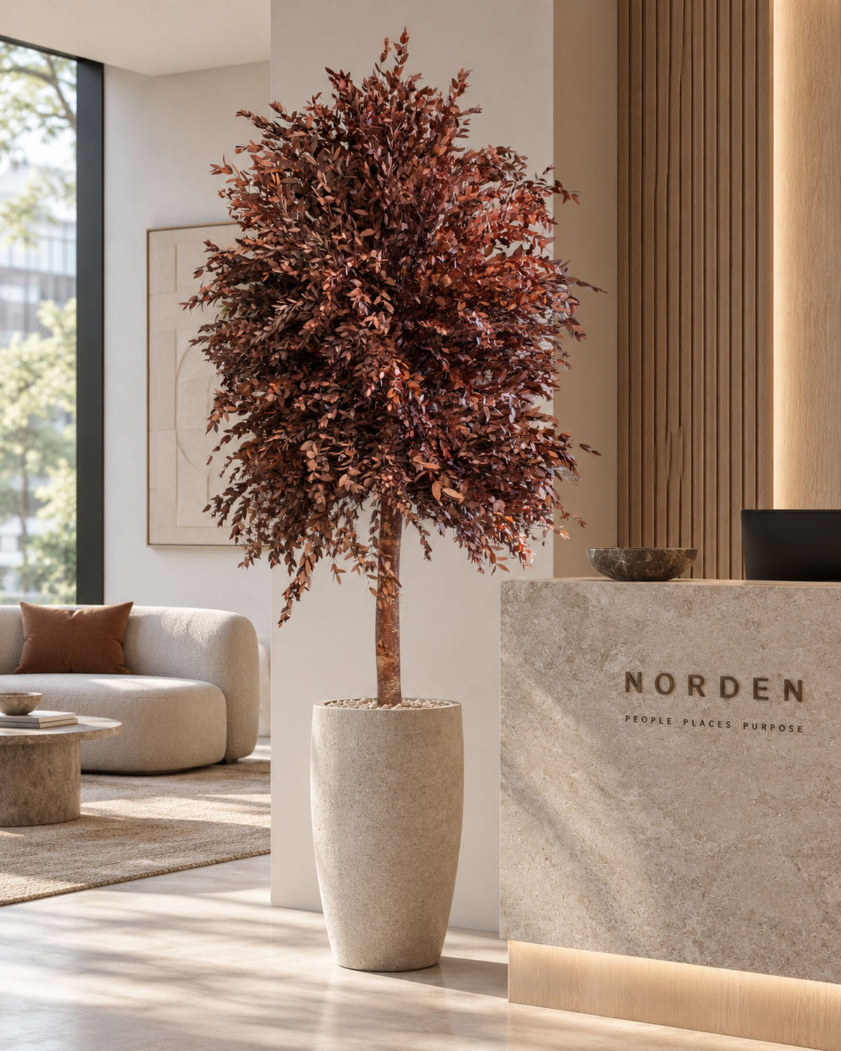 Konserveret eukalyptustræ Parvifolia – Slim