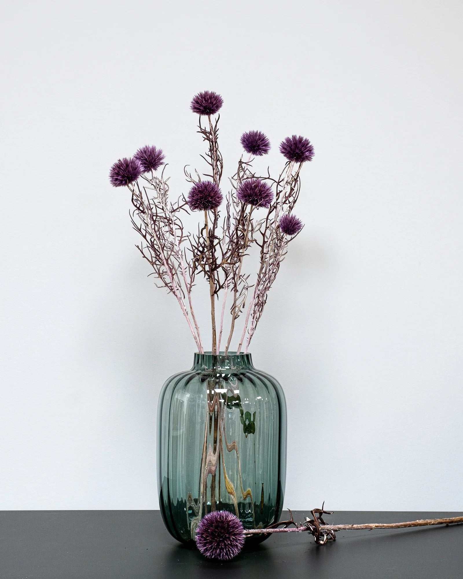 Detaljbild av Bolltistel Gigant som konserverad blomma i brun