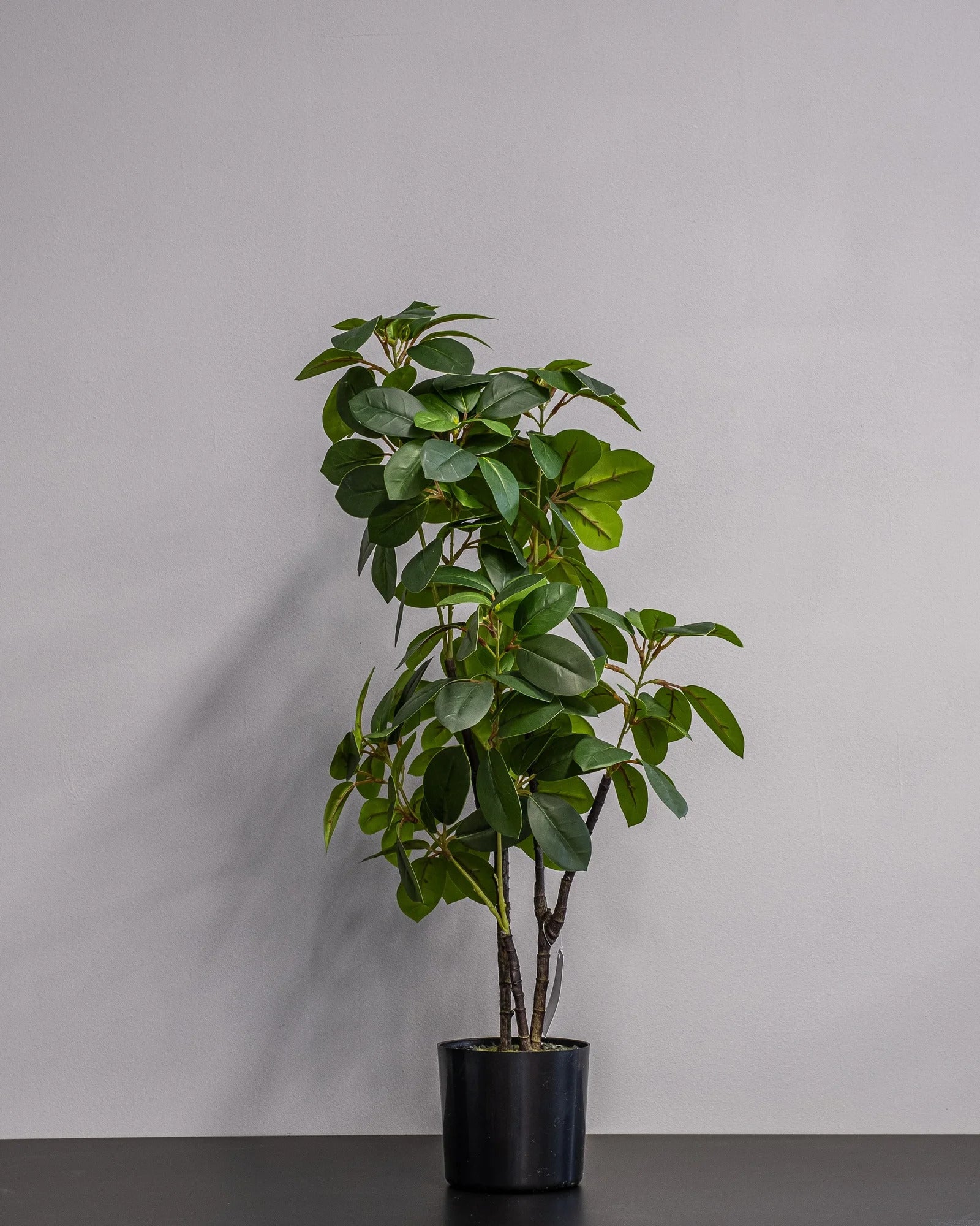 Närbild på detaljerna i Konstgjord Ficus krukväxt i melaminkruka – 70 cm