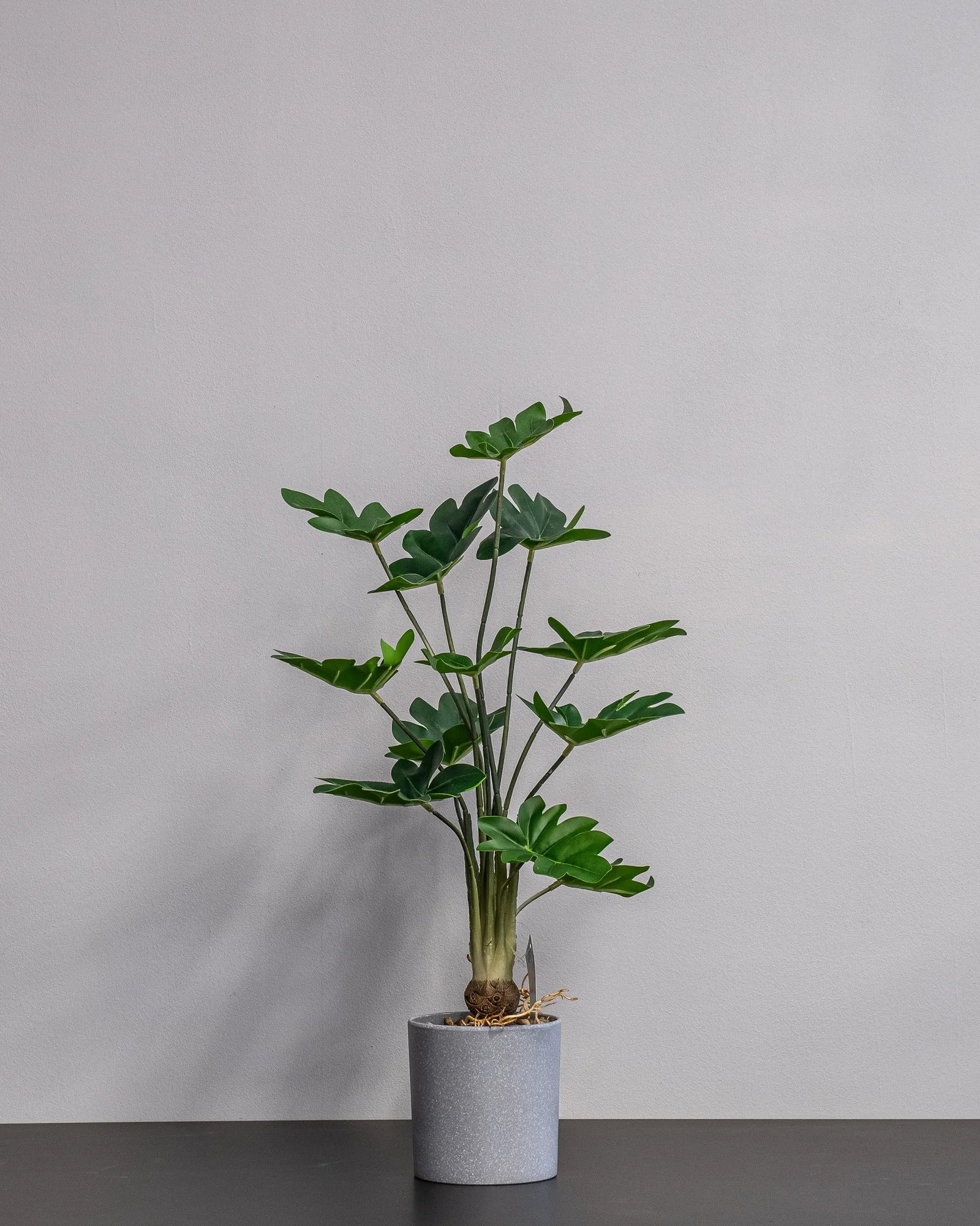 Konstgjord Philodendron krukväxt – 60 cm – konstgjord växt från Forever Flora
