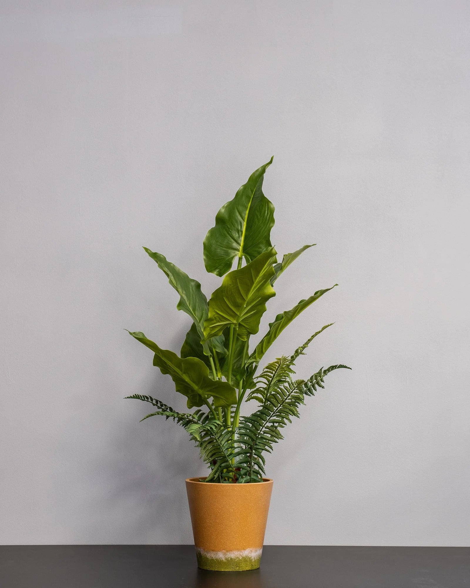 Konstgjord Alocasia krukväxt – 75 cm – konstgjord växt från Forever Flora