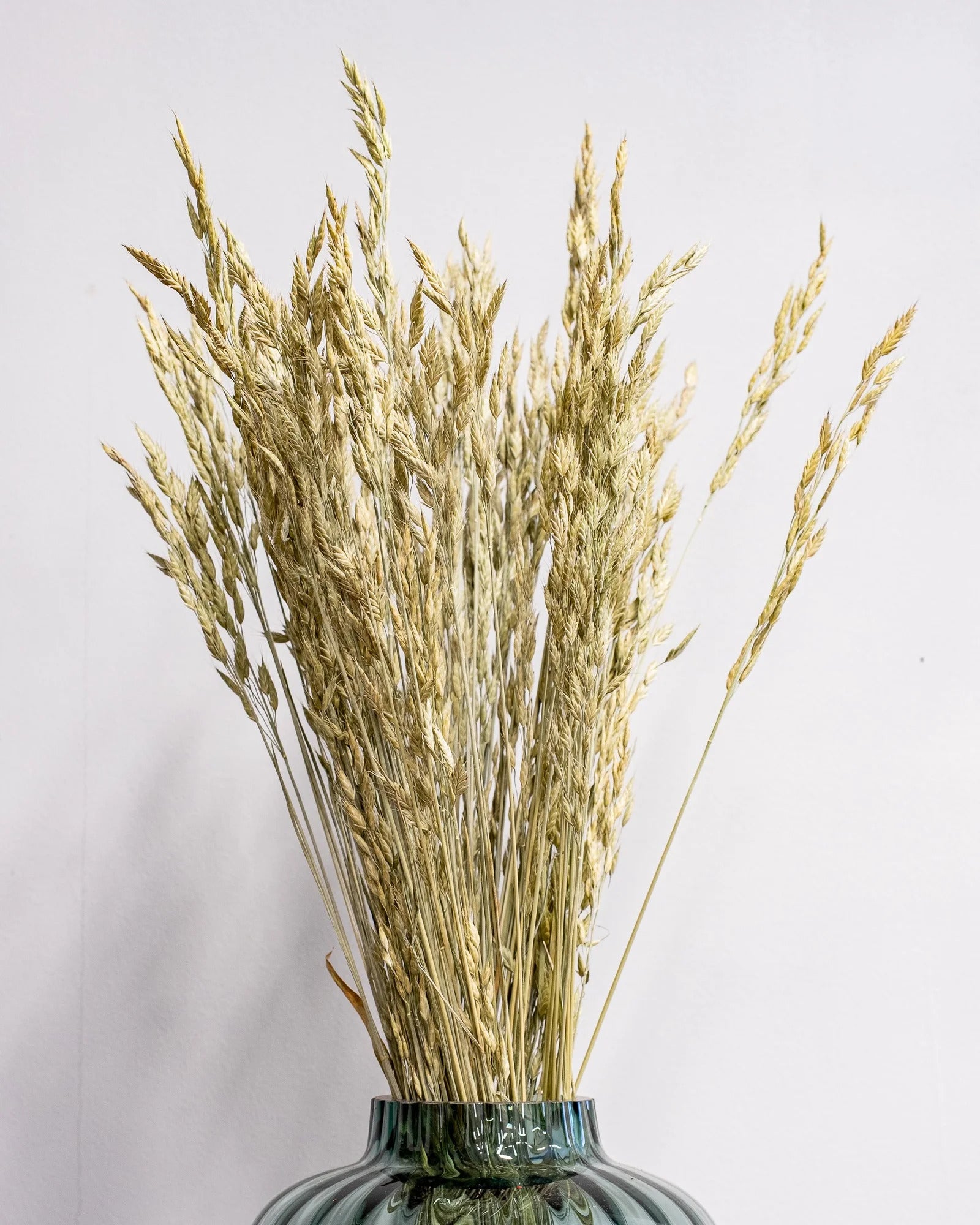 Råglosta (Bromus secalinus) – Torkad, Naturfärgad, 60 cm som vasdekoration för hem och inredning