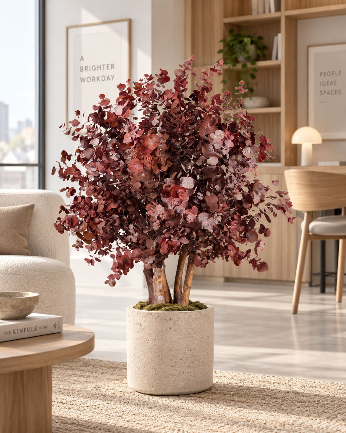 Konserveret Eucalyptus Populus-busktræ 80–110 cm