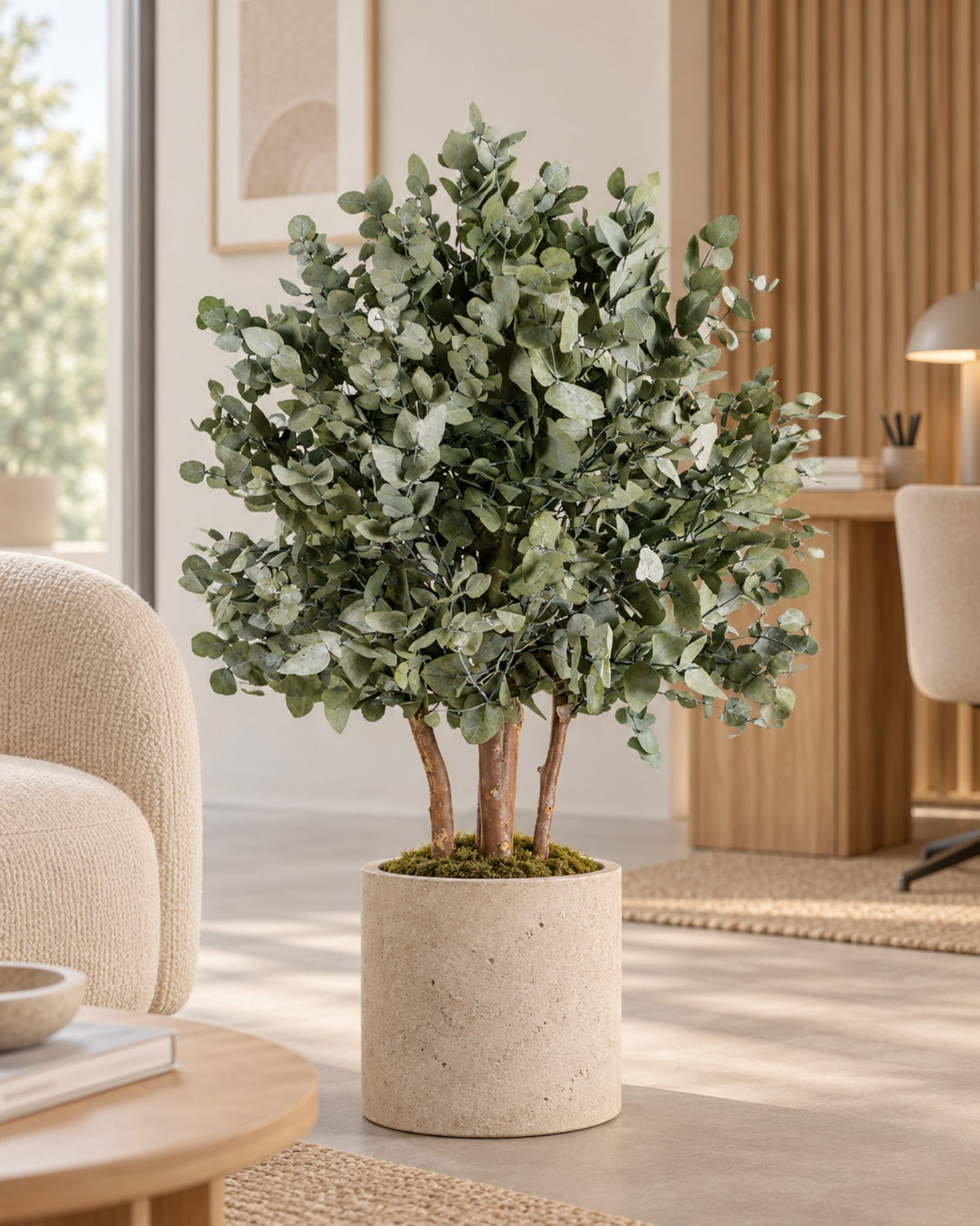 Konserveret Eucalyptus Populus-busktræ 80–110 cm