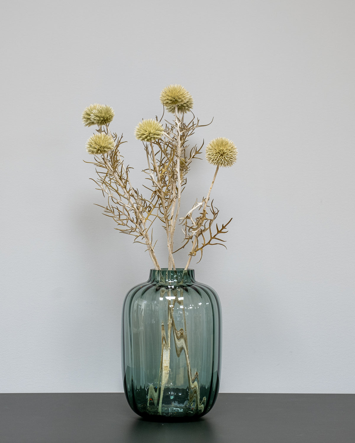 Giant Globe Thistle – Preserved Flowers