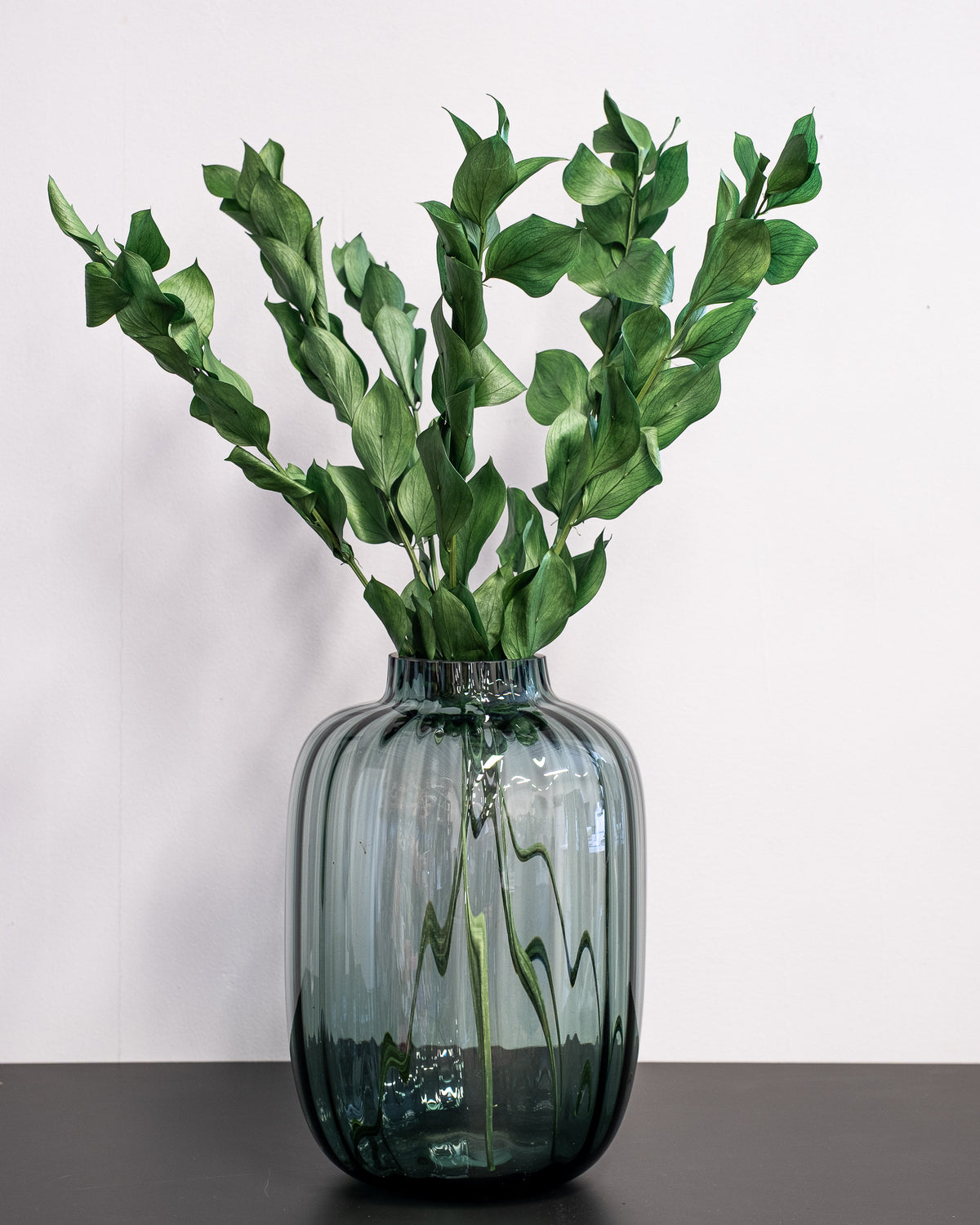 Ruscus Gigant Grøn – konserveret plante