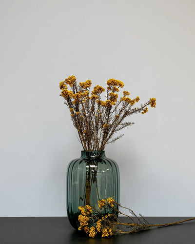 Diosmi Naturell som dekorativ produkt från Forever Flora