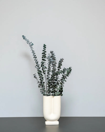 Eucalyptus Baby Blue – konserverad växt från Forever Flora i grön