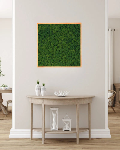 Kvadratisk mosstavla med äkta finsk renlav som grön väggdekoration för inomhusmiljö – 110×110 cm
