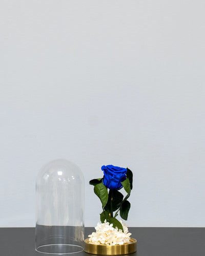 Detaljer i rosorna på Roskupa med Evighetsrosor och Hortensia