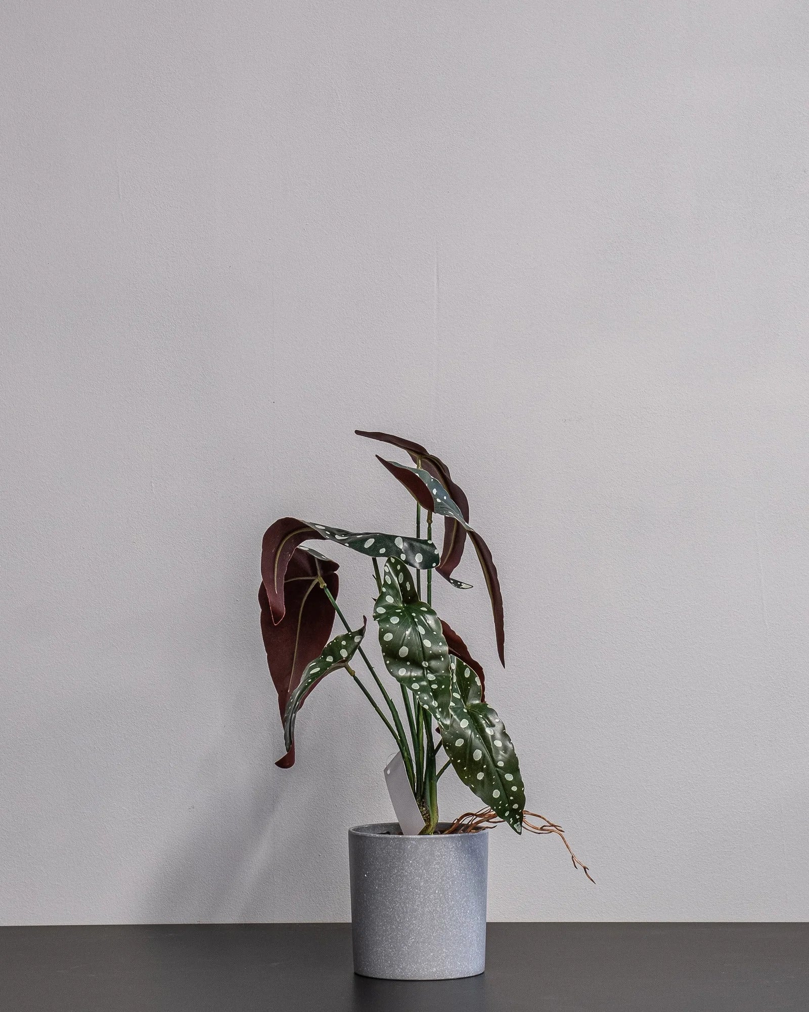 Närbild på detaljerna i Konstgjord Begonia krukväxt – 45 cm