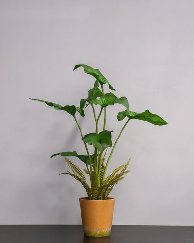 Konstgjord Alocasia cucullata krukväxt – 75 cm – konstgjord växt från Forever Flora