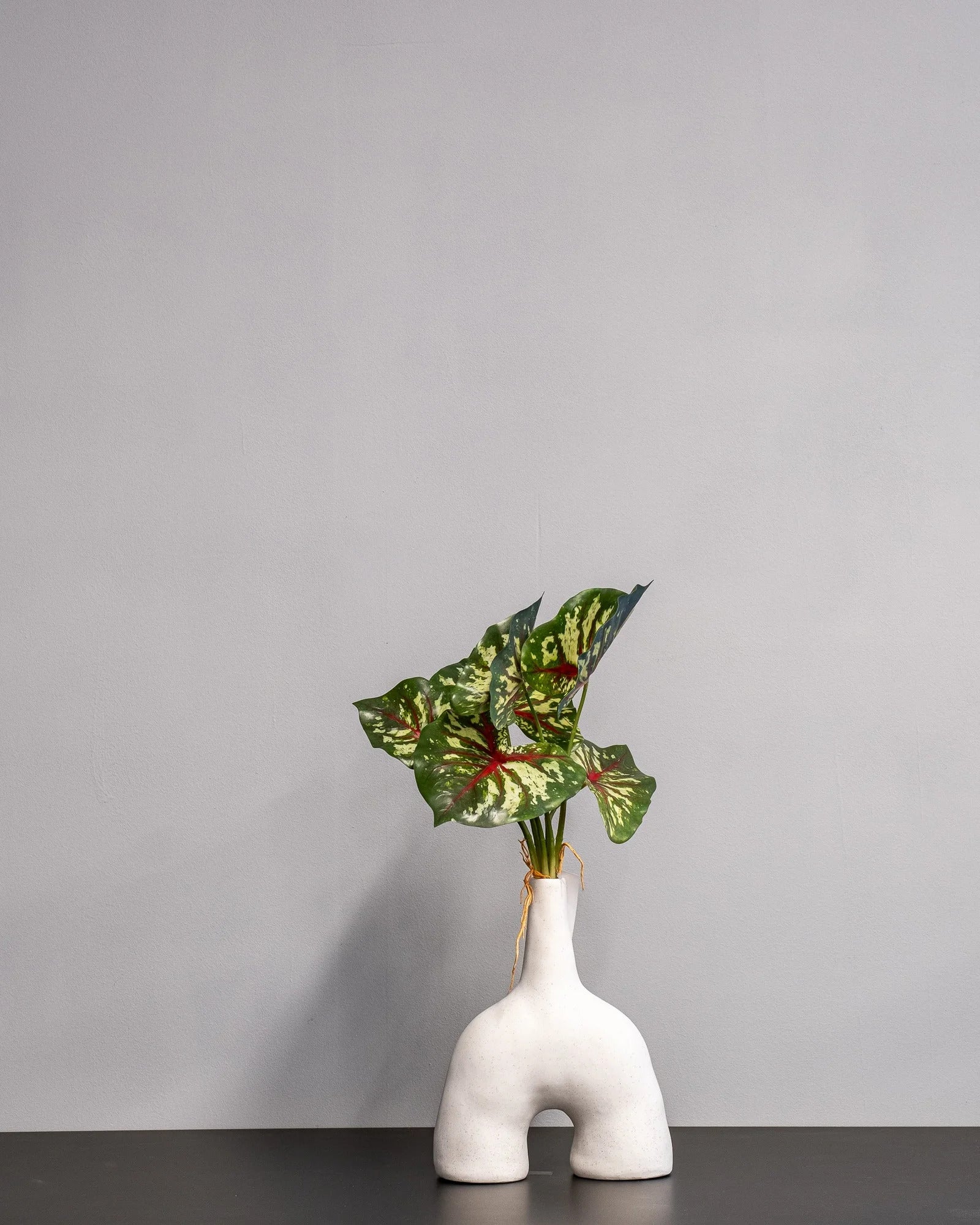 Konstgjord Caladium Thai bladslinga – 30 cm – konstgjord växt från Forever Flora