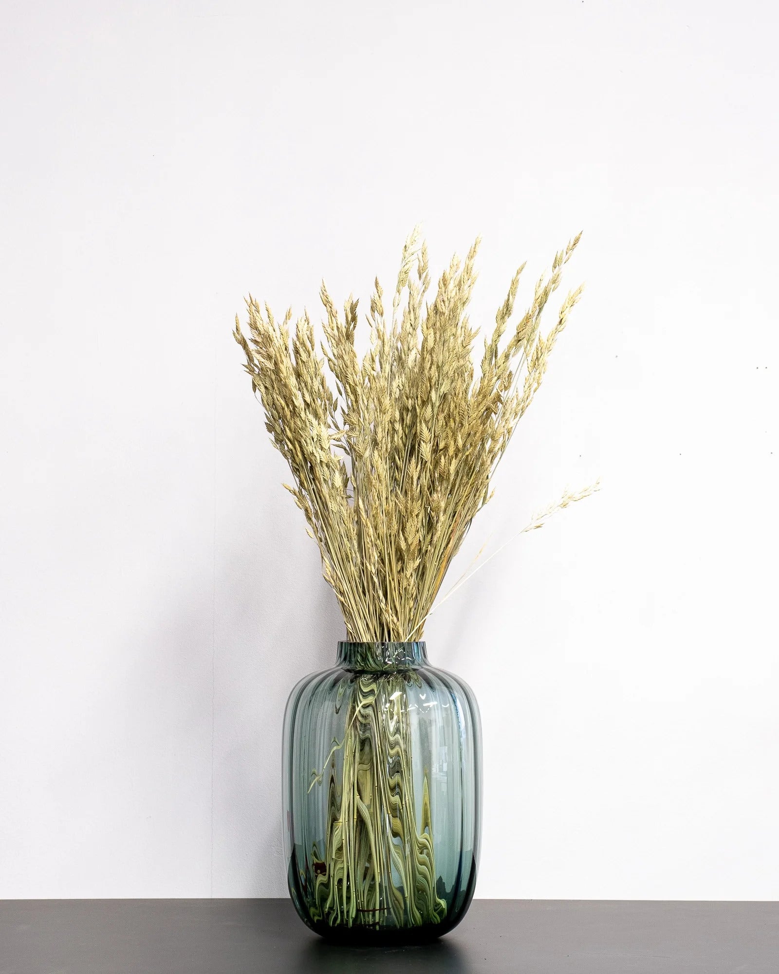 Närbild på torkade blommor i Råglosta (Bromus secalinus) – Torkad, Naturfärgad, 60 cm