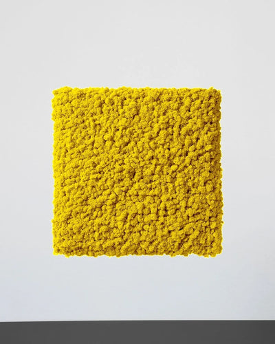Mosspanel kvadrat i äkta renlav för grön väggdesign – Svart, 30×30 cm