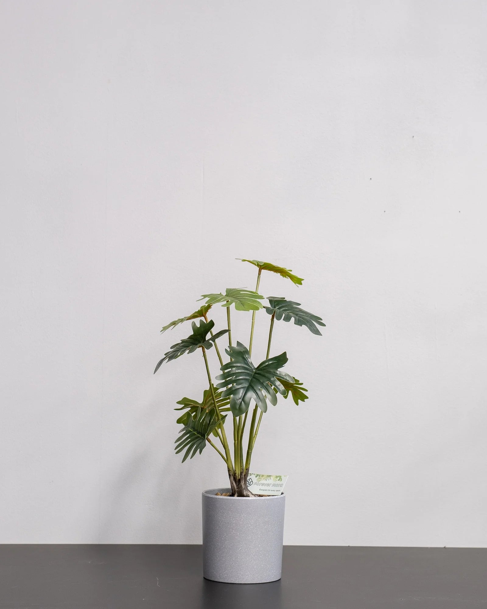 Närbild på detaljerna i Konstgjord Filodendron krukväxt med melaminkruka – 52 cm