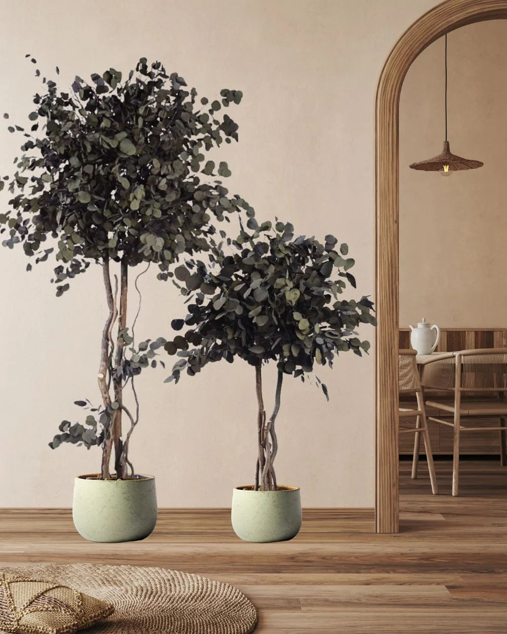 Konserverat eukalyptusträd Populus – Krona för styling av entré, kontor eller butik