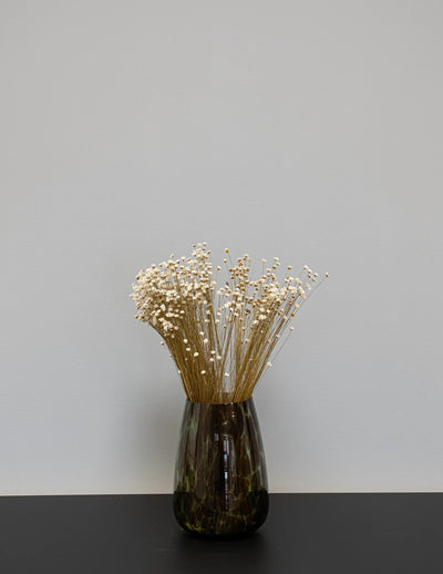 Glixia – torkade blommor, ca 50 cm