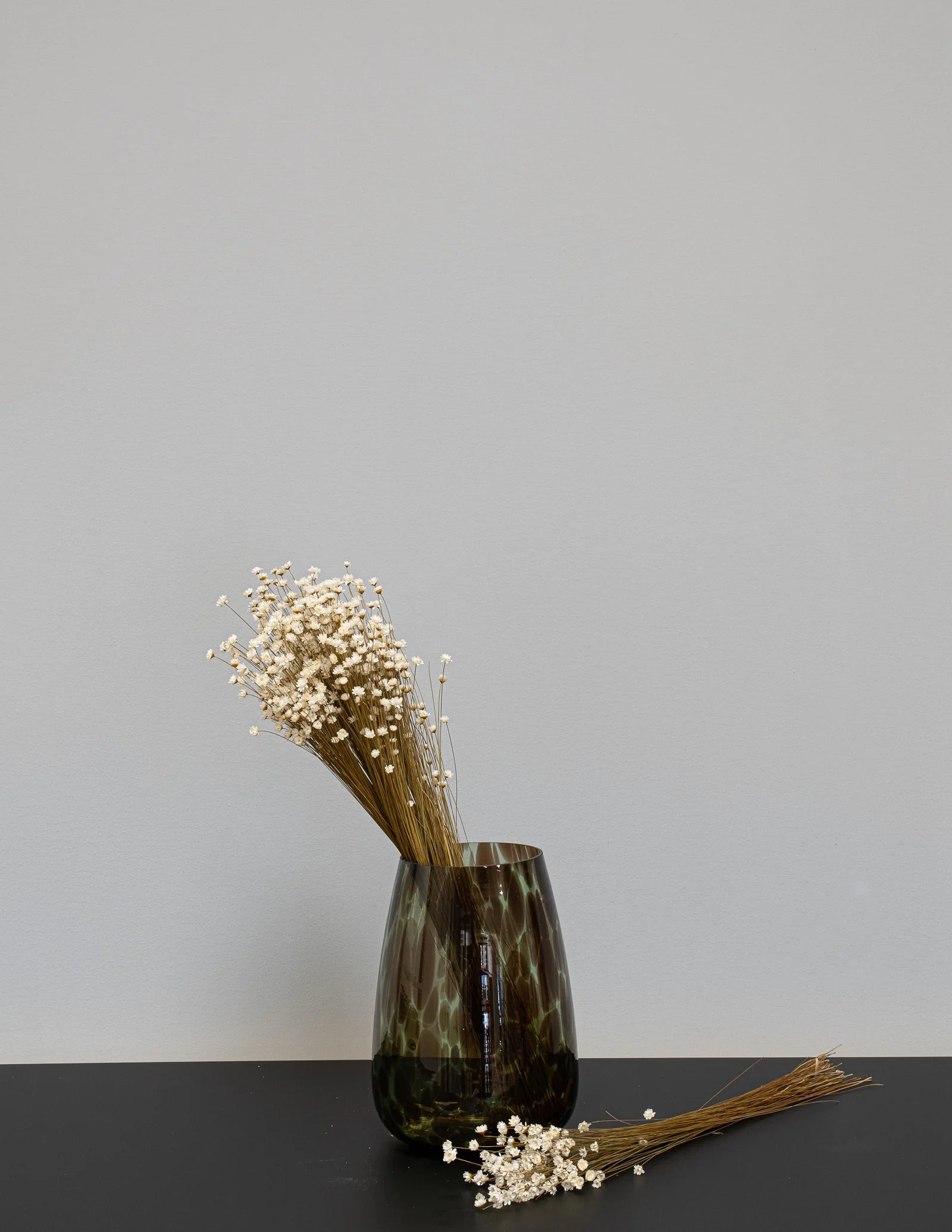 Närbild på torkade blommor i Glixia