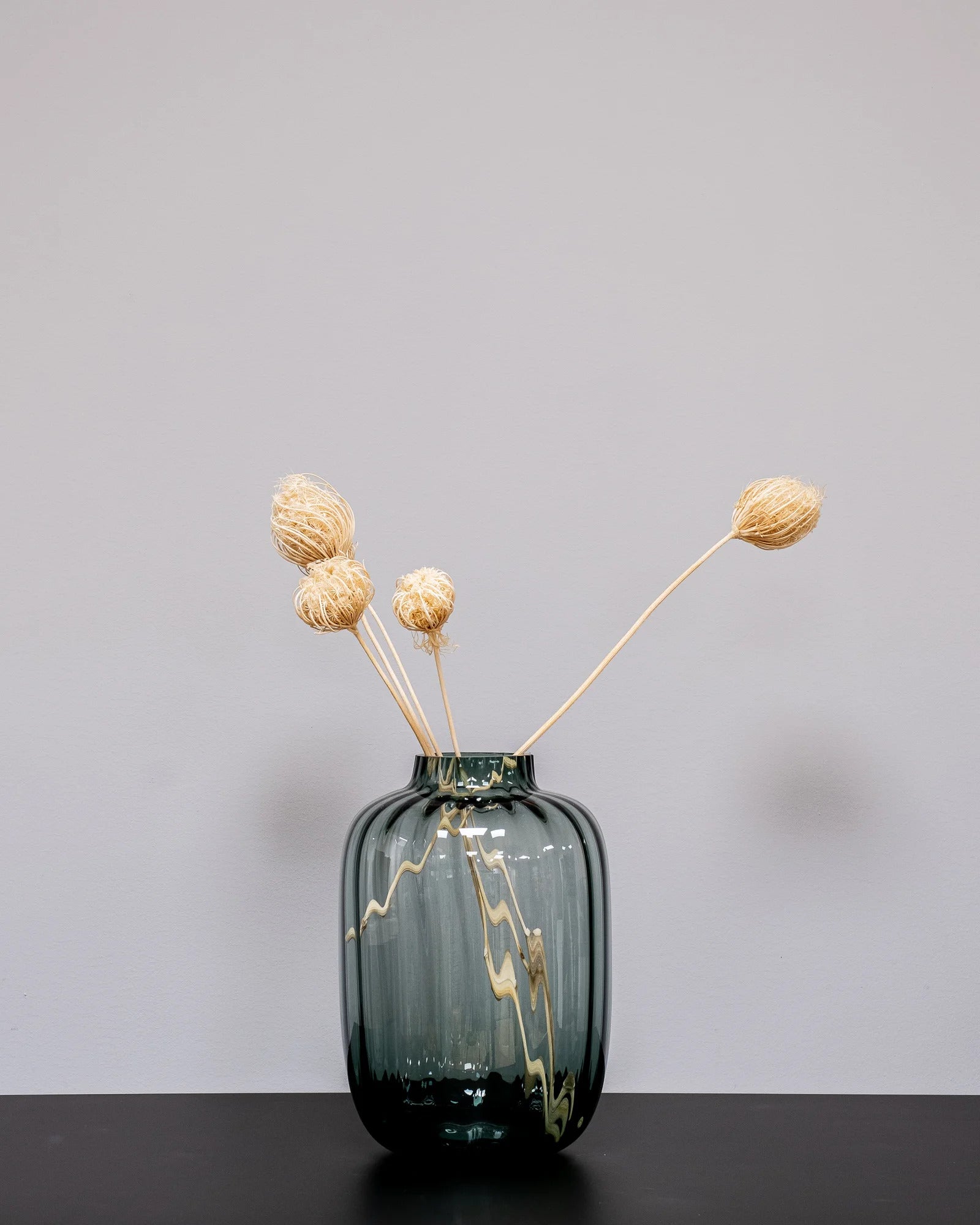 Detaljbild av Ammi majus 5 st.- Slöjsilja