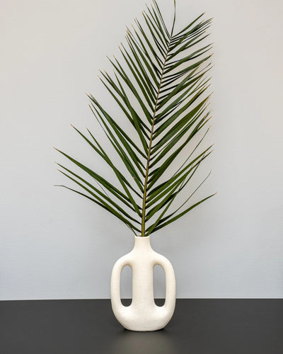 Närbild på detaljerna i Phoenix Palm Grön