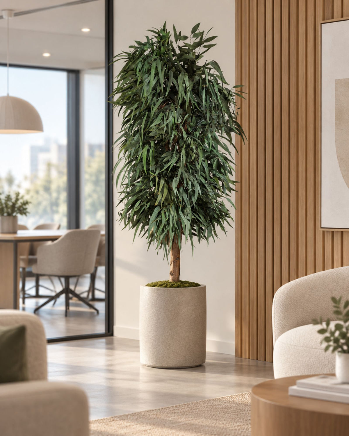 Preserved Willow Tree – Full