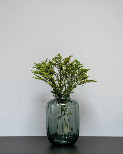 Solidago Grön – konserverad blomma från Forever Flora
