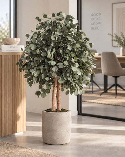 Preserved Eucalyptus Tree Populus – Shrub Tree