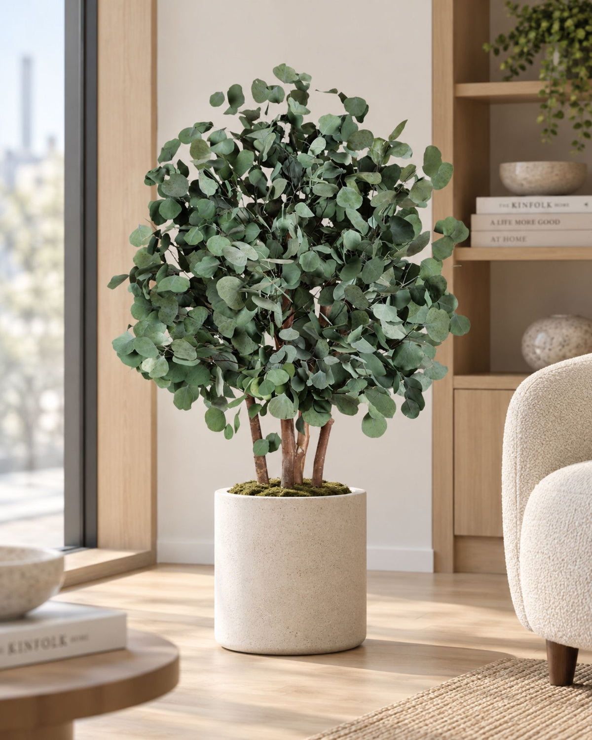 Preserved Eucalyptus Tree Populus – Shrub Tree
