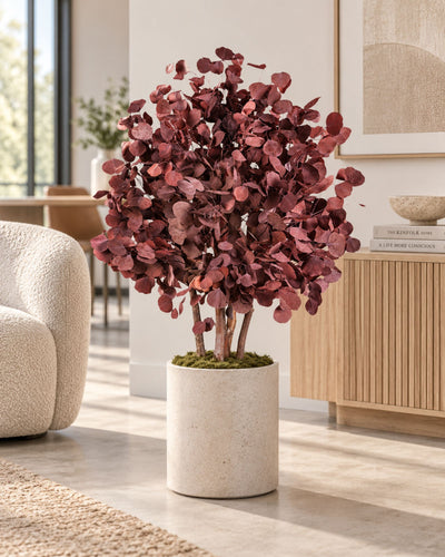 Preserved Eucalyptus Tree Populus – Shrub Tree
