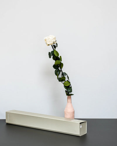 Konserverade rosor i Singel Giftbox - V Rose från Forever Flora