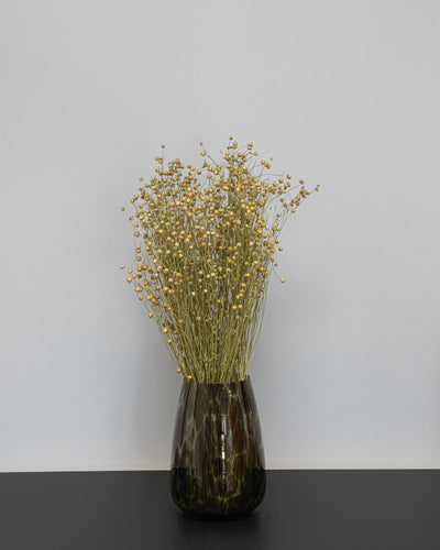 Lin naturell – torkade blommor 40–50 cm