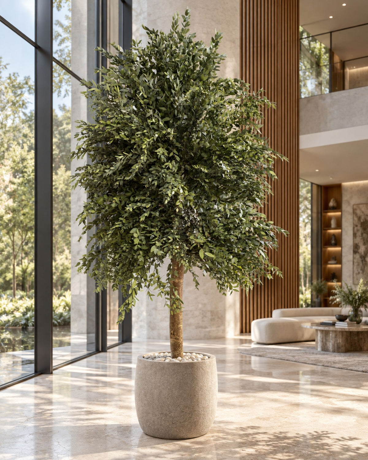 Konserveret eukalyptustræ Parvifolia – Slim