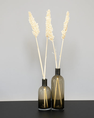Indian Corn – 5 st, för dekorativ styling i inomhusmiljö