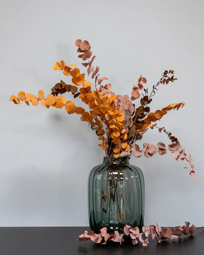 Eucalyptus Stuartiana för dekorativ styling i inomhusmiljö