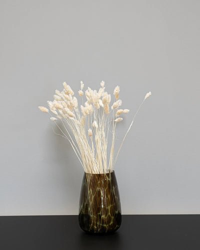 Phalaris – torkade blommor i Vit