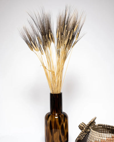 Triticum Vete som dekorativ produkt från Forever Flora