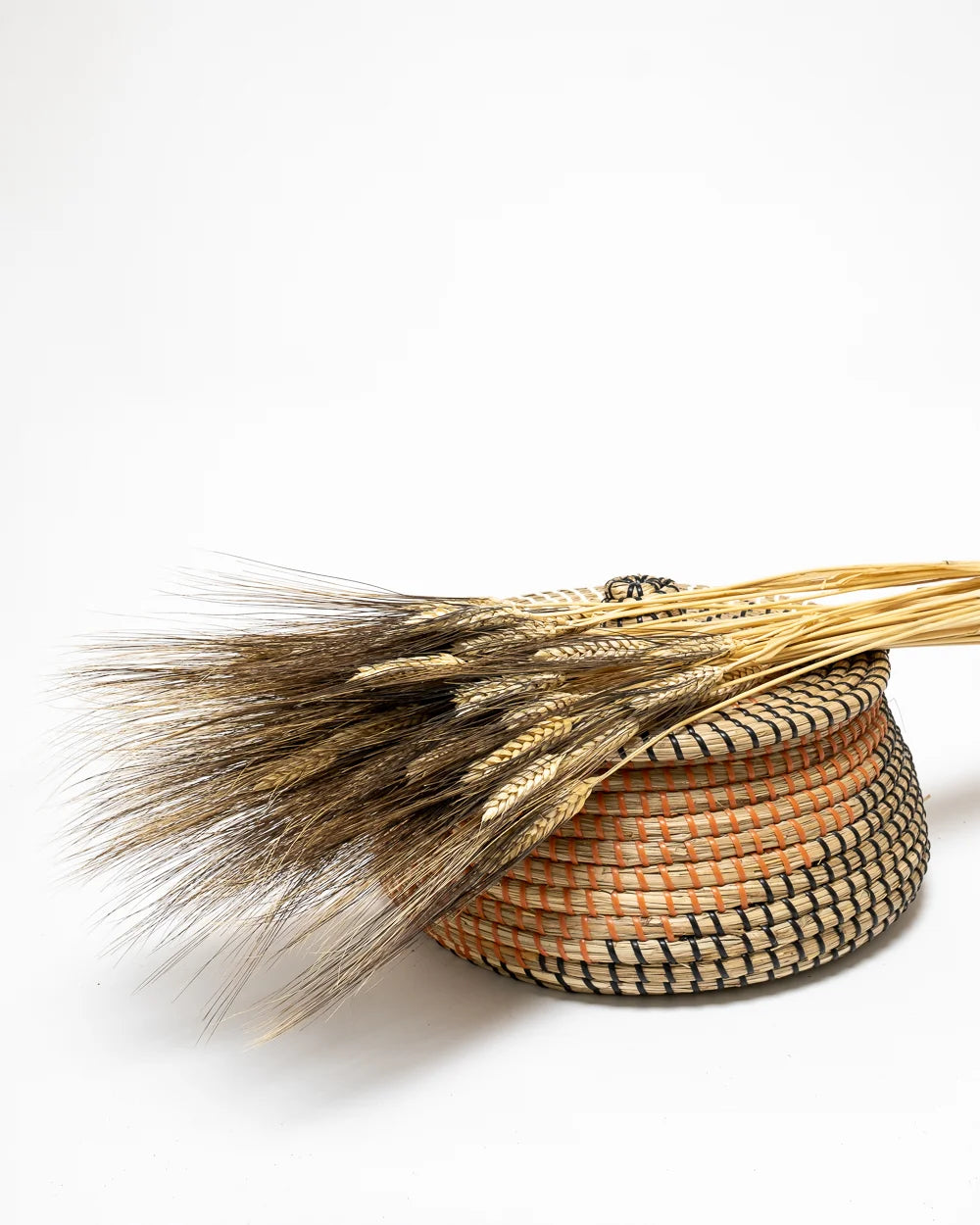 Triticum Vete för buketter och blomsterarrangemang