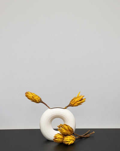 Närbild på torkade blommor i Protea Repens Gul