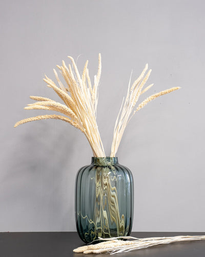Detaljbild av Durrasläktet, Sorghum