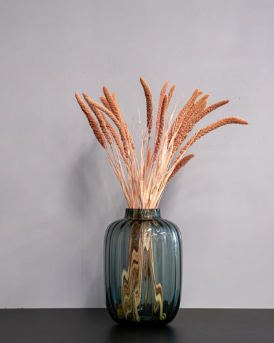Durrasläktet, Sorghum för buketter och blomsterarrangemang – 9879 durraslaktet sorghum 2