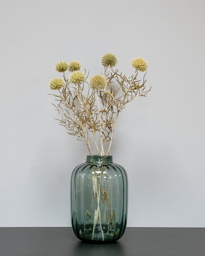 Giant Globe Thistle – Preserved Flowers