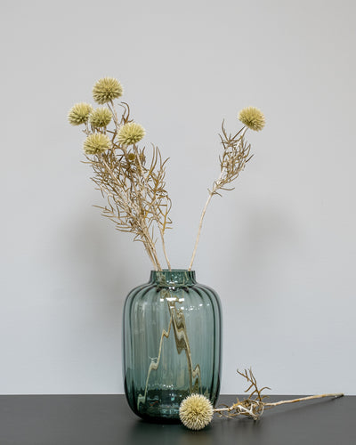 Giant Globe Thistle – Preserved Flowers
