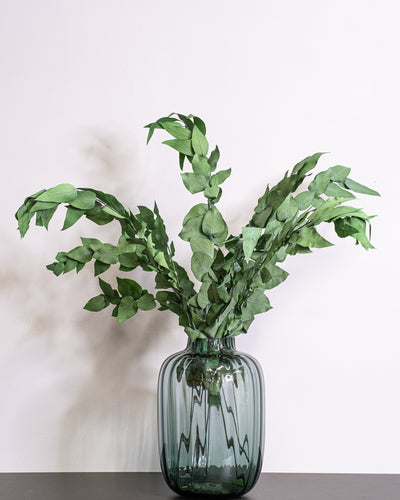 Vedbend – konserveret plante
