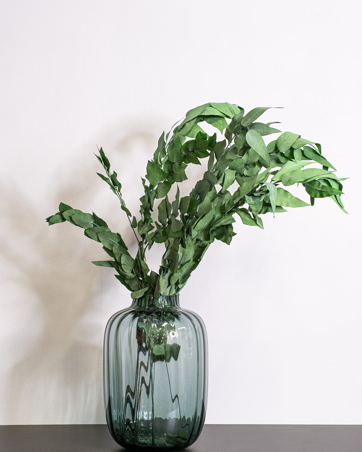 Vedbend – konserveret plante