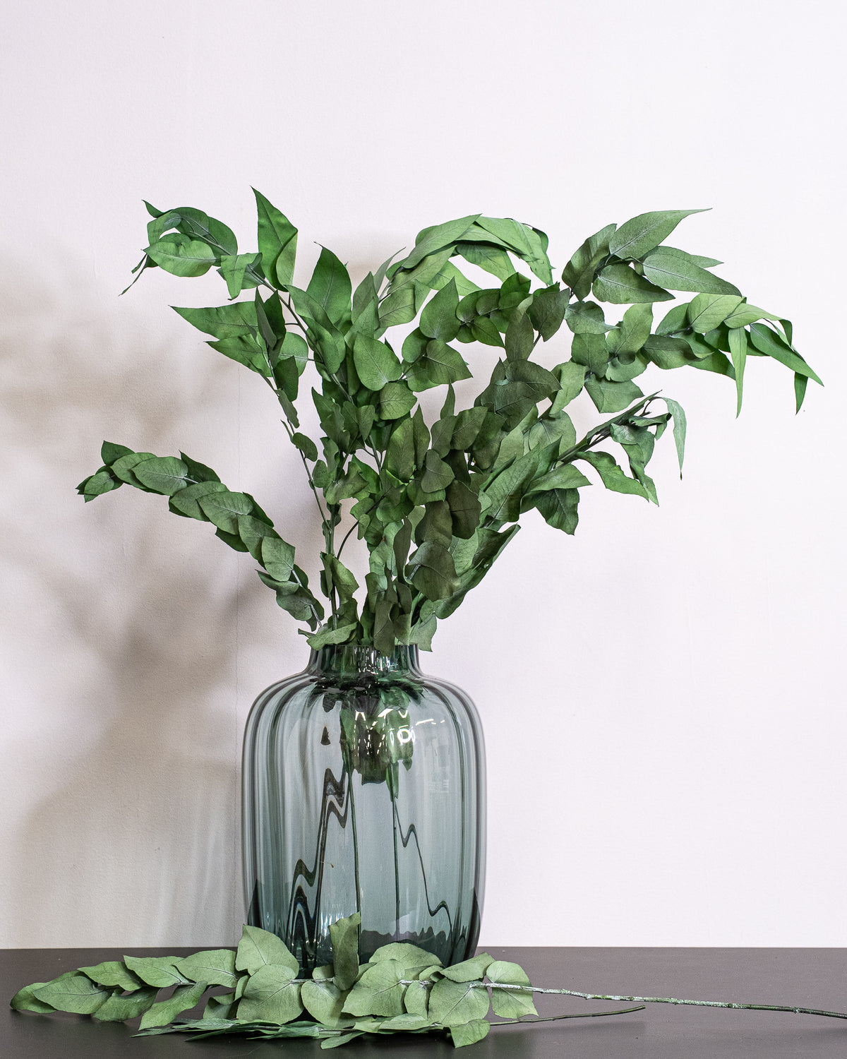 Vedbend – konserveret plante