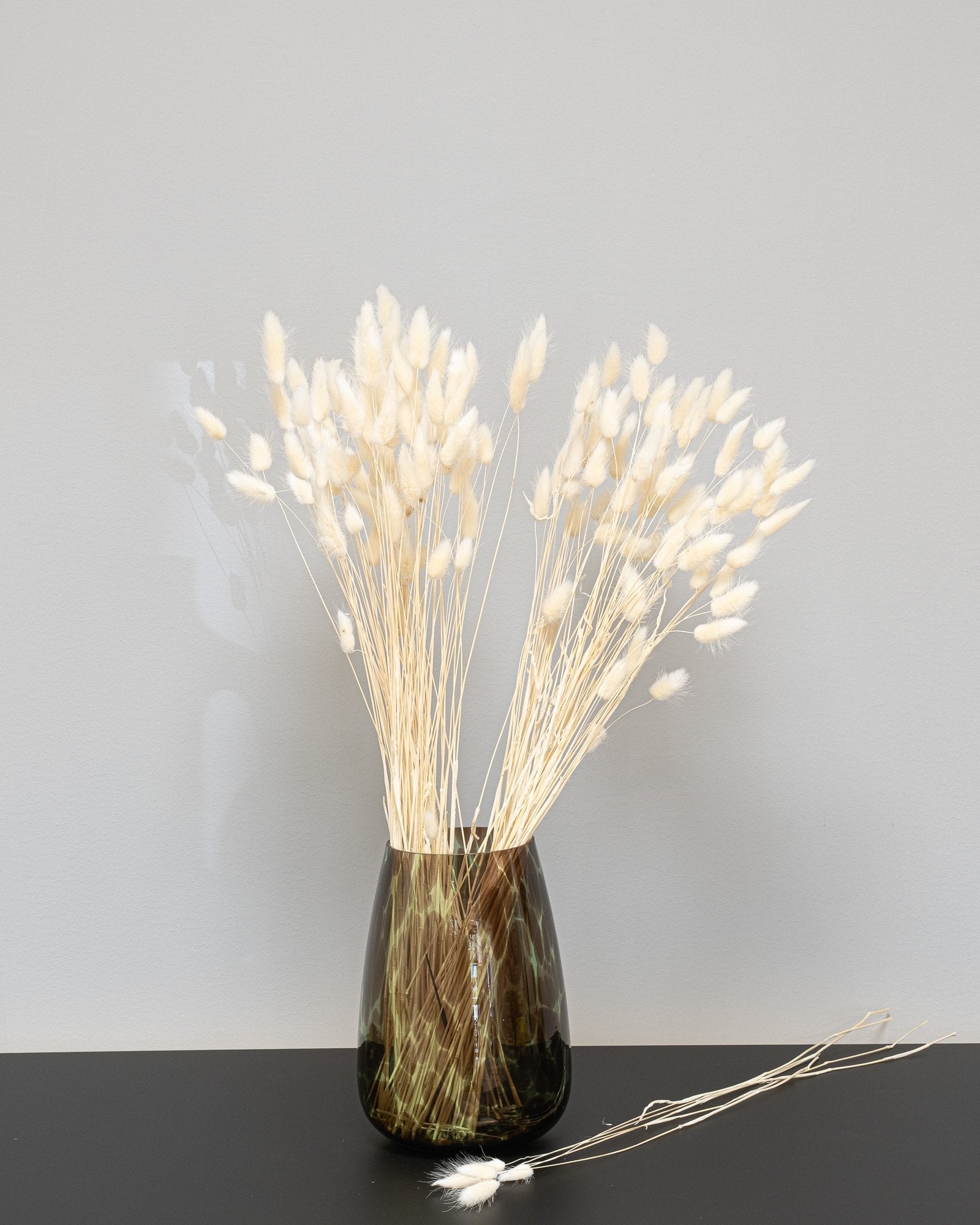 Lagurus - Tørrede Blomster