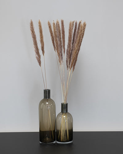 Mini Pampas Grass 10 pcs. 70 cm
