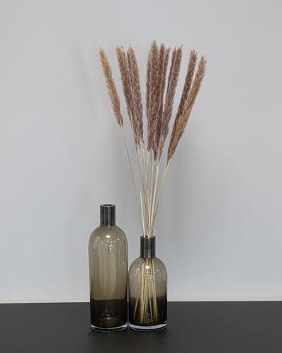 Mini Pampasgräs – 10 st. 70 cm, ca 70 cm, 10 stycken